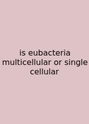 Is Eubacteria Multicellular Or Single Cellular