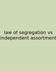 Law Of Segregation Vs Independent Assortment