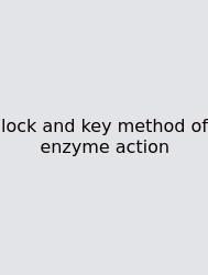 Lock And Key Method Of Enzyme Action