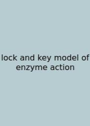 Lock And Key Model Of Enzyme Action
