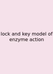 Lock And Key Model Of Enzyme Action
