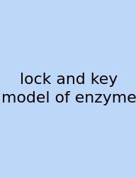 Lock And Key Model Of Enzyme