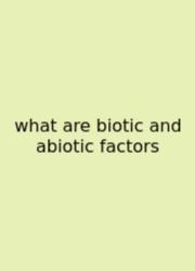 What Are Biotic And Abiotic Factors