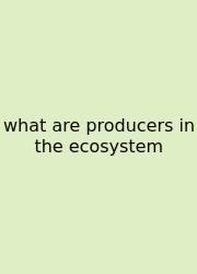 What Are Producers In The Ecosystem