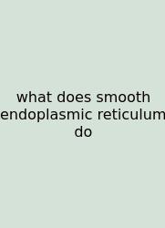 What Does Smooth Endoplasmic Reticulum Do