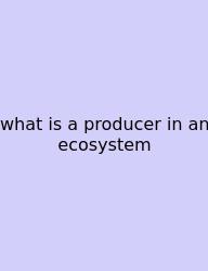 What Is A Producer In An Ecosystem