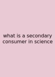 What Is A Secondary Consumer In Science