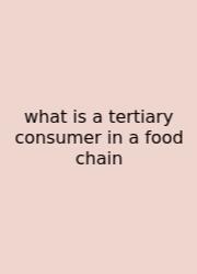 What Is A Tertiary Consumer In A Food Chain