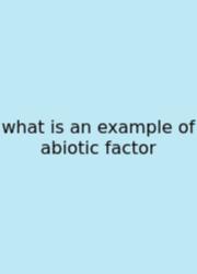What Is An Example Of Abiotic Factor