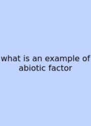 What Is An Example Of Abiotic Factor