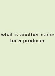 What Is Another Name For A Producer