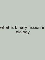 What Is Binary Fission In Biology