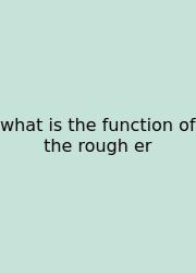 What Is The Function Of The Rough Er