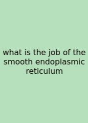 What Is The Job Of The Smooth Endoplasmic Reticulum